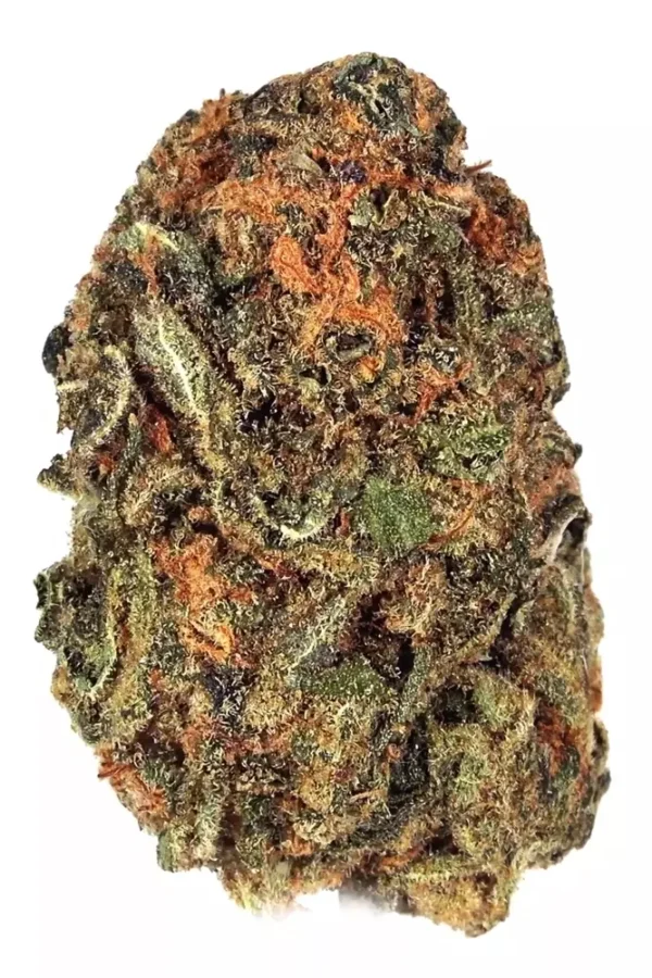 Acapulco Gold cannabis flower with golden-green buds, vibrant orange pistils, and a frosty trichome coating, showcasing the strain's premium quality and distinctive appearance.