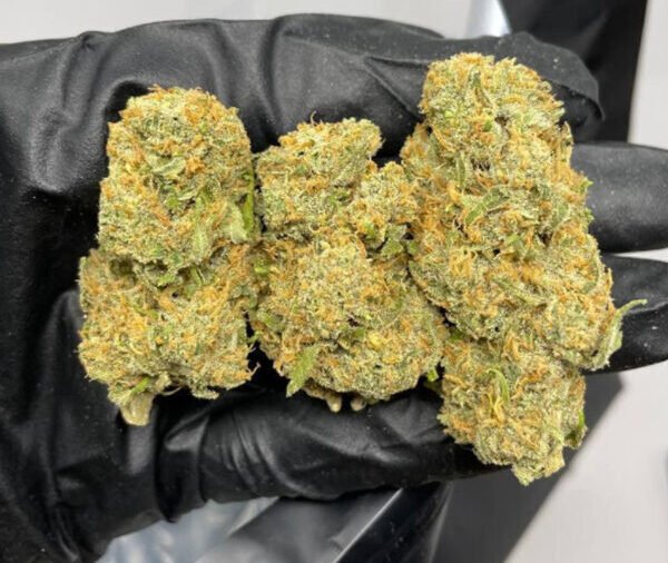Acapulco Gold (28g) - Image 2
