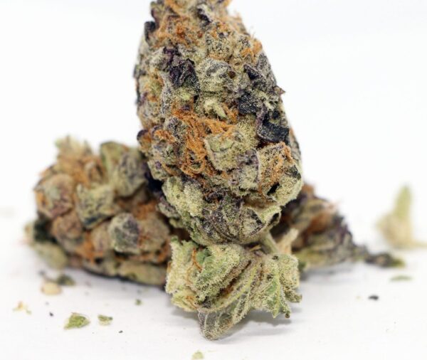 Black Cherry Punch (28g)