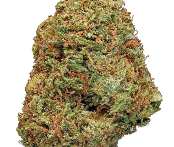 Northern Lights (28g) - Image 2