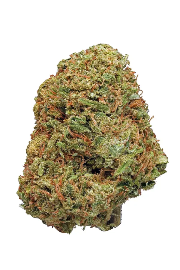 Northern Lights (28g)