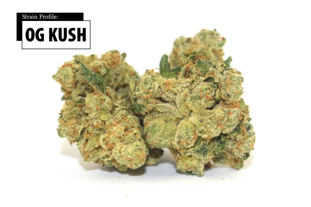 OG Kush 28g cannabis flower featuring earthy pine and citrus aromas