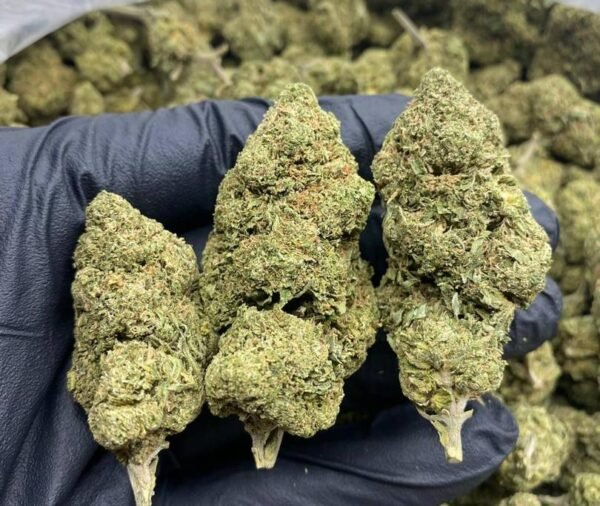 OG Kush (28g) - Image 2