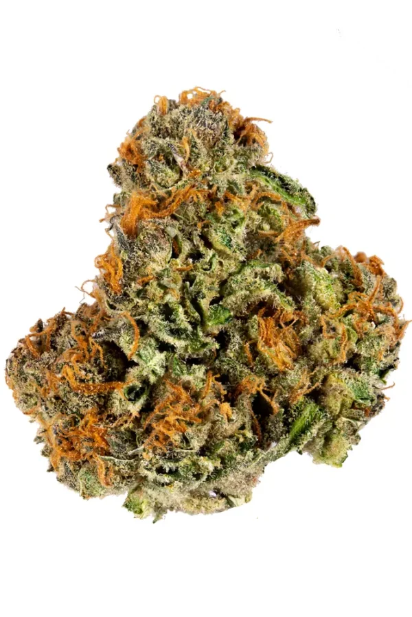 Pineapple Express cannabis strain with dense green buds, golden-orange pistils, and a frosty coating of trichomes, showcasing the strain's vibrant tropical appearance and premium flower quality.