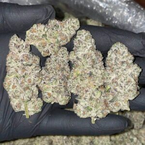 Amnesia Haze (28g) - Image 2