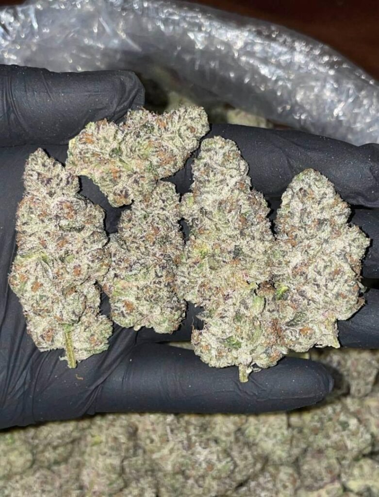 Amnesia Haze (28g)