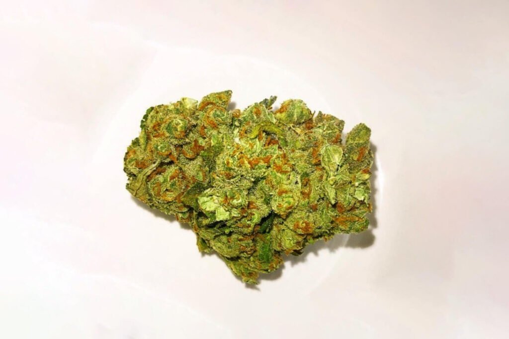 Blue Cheese cannabis strain with dense light-green buds, bright orange hairs, and a thick coating of frosty trichomes, showcasing the strain's distinctive appearance and premium quality.