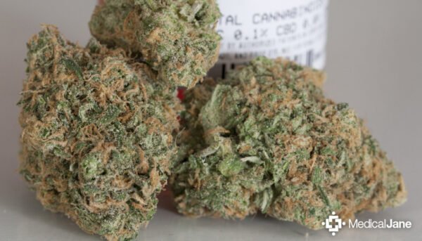 Blue Dream 28g hybrid cannabis strain with sweet berry fragrance
