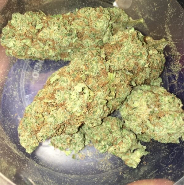Bruce Banner cannabis strain displaying dense bright-green buds with fiery orange pistils and a heavy coating of sparkling trichomes, showcasing the strain's potent and premium flower appearance.