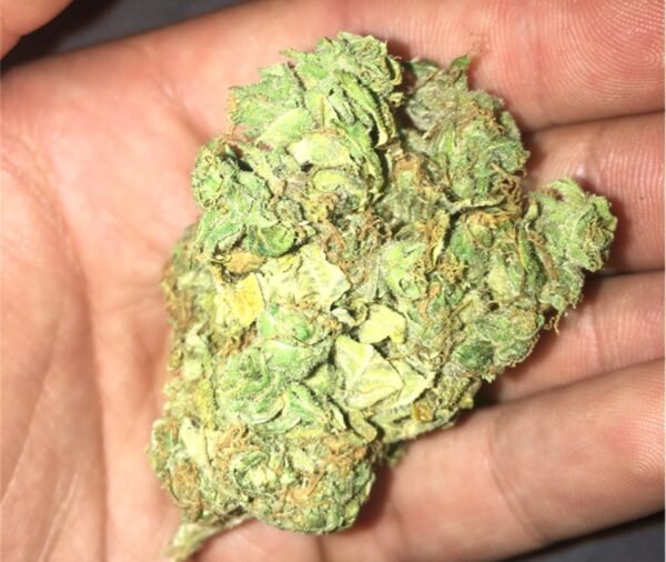 Banana Kush - Image 2