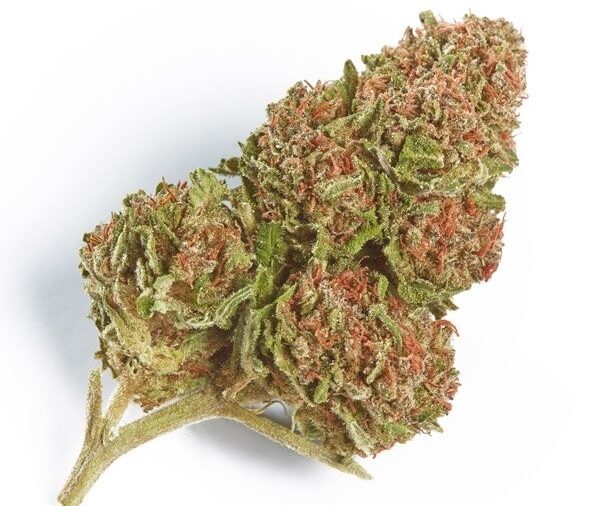 Northern Lights (28g)