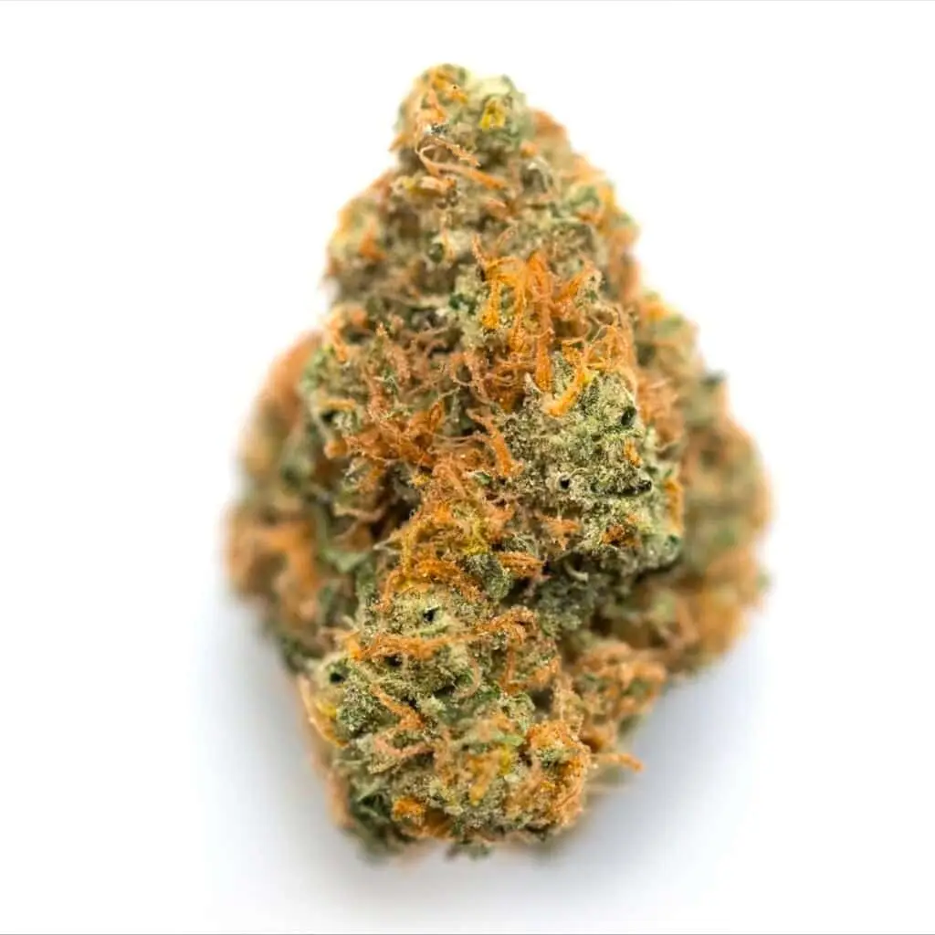 lemon haze sativa cannabis flower with pungent diesel aroma