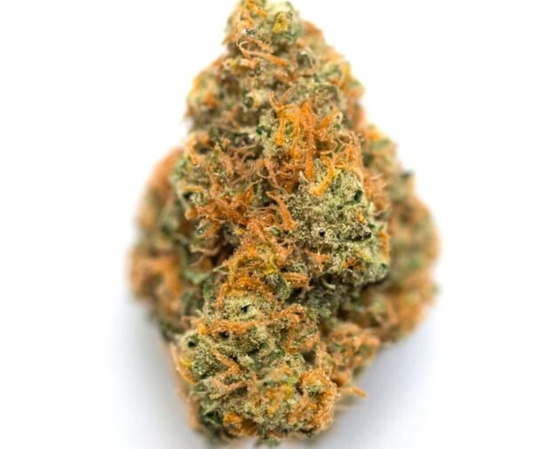 buy buds online