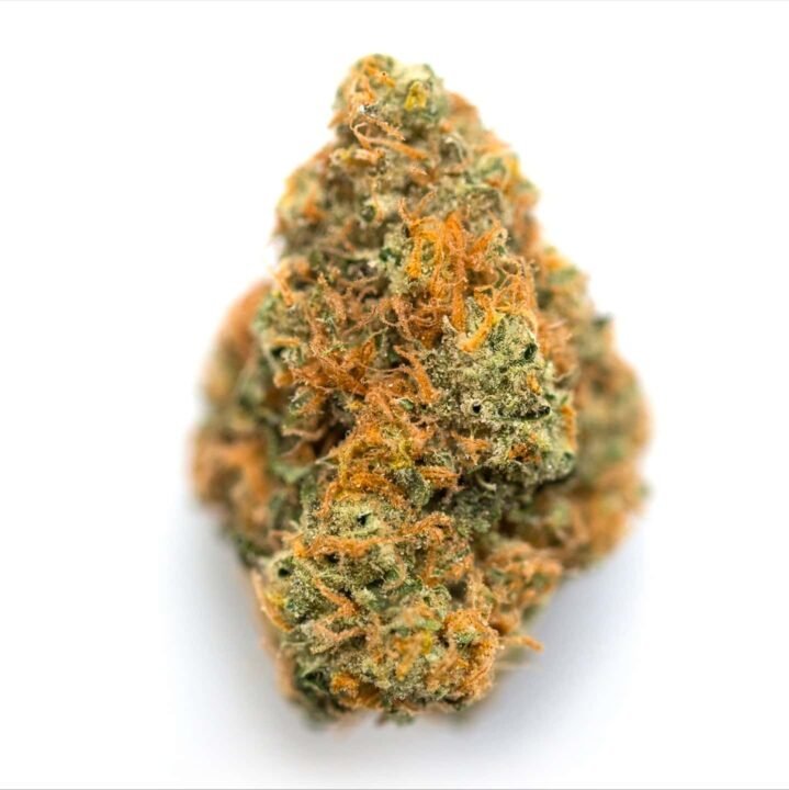 buy buds online