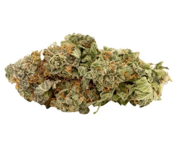 Blue Dream Hybrid Marijuana Strain