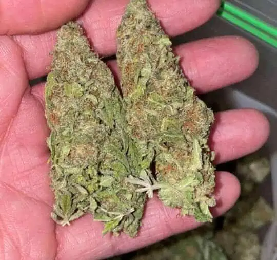 Blue Dream 28g hybrid cannabis strain with sweet berry fragrance