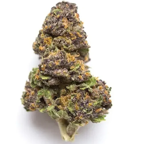 Deep purple cannabis flower with visible trichomes.