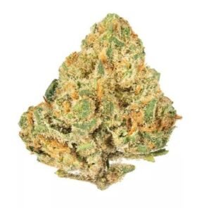 Dense cannabis flower held between fingers.
