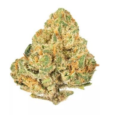 Dense cannabis flower held between fingers.