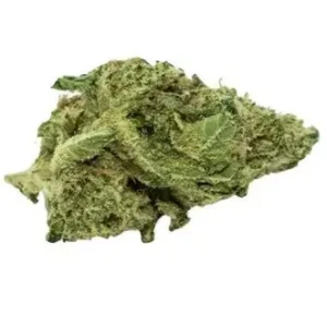 Fresh cannabis flower with vibrant colours.