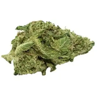 Fresh cannabis flower with vibrant colours.