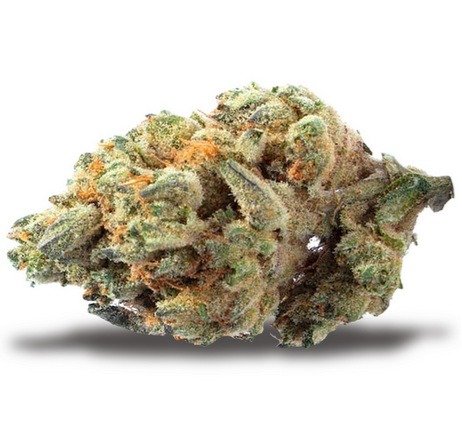 Bright green cannabis buds with citrus notes.