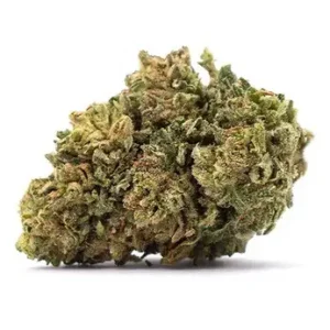 fresh cannabis flower with harvesting guide