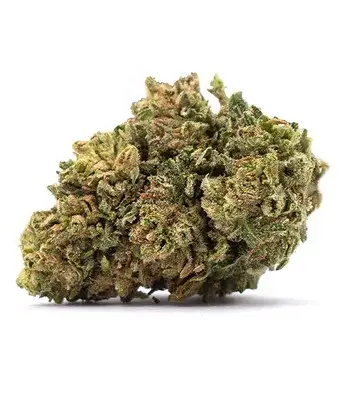 fresh cannabis flower with harvesting guide