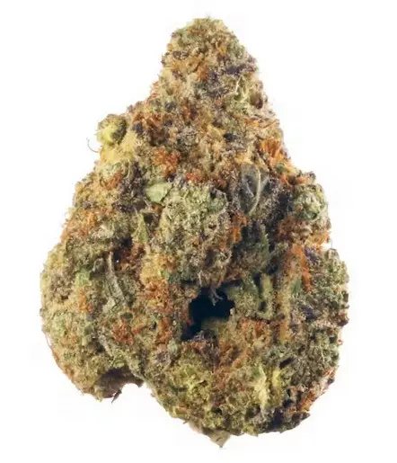 Hanging cannabis branches during drying