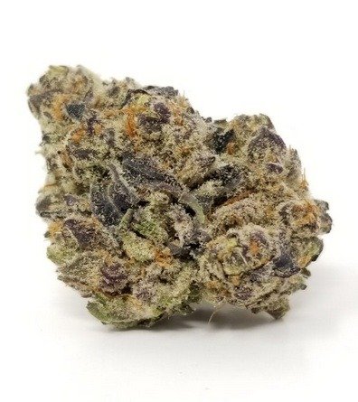 Aromatic cannabis flower in an open jar.