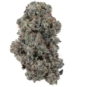 Ground cannabis prepared for rolling.