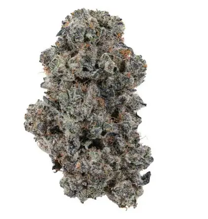 Ground cannabis prepared for rolling.