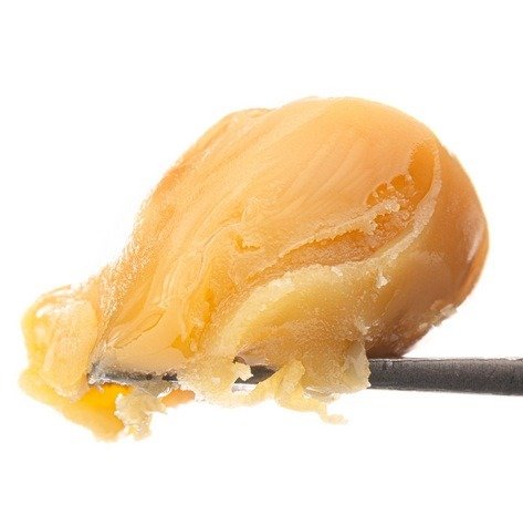 Live rosin concentrate ready for dabbing