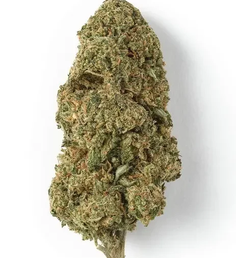 Trainwreck Hybrid Marijuana For Sale QLD