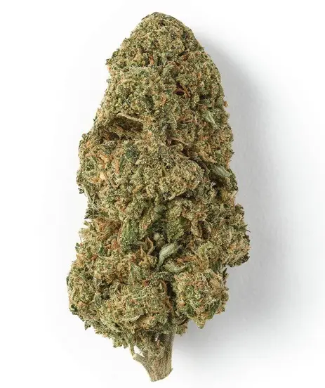 Trainwreck Hybrid Marijuana For Sale QLD