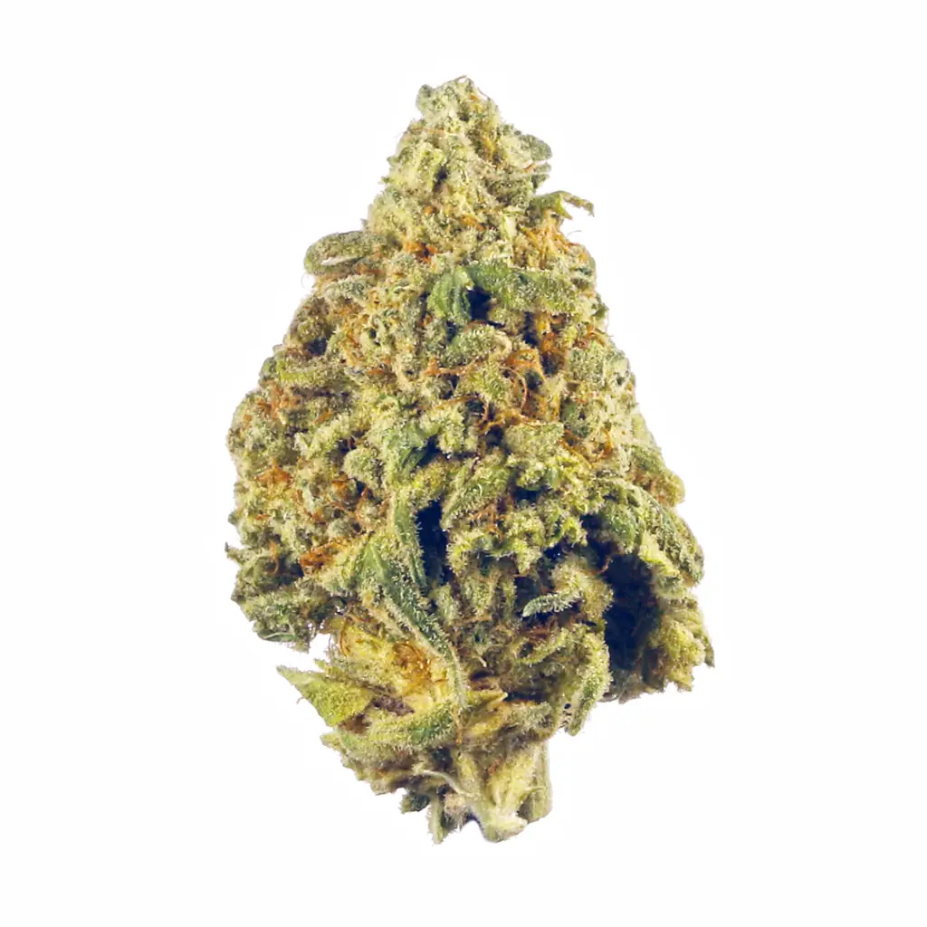 Educational cannabis infographic with key information.