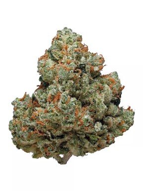 Chemdawg strain 28g