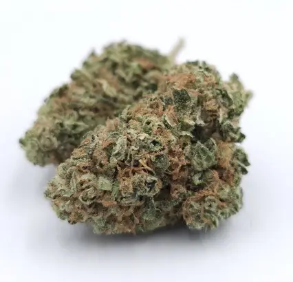 Small amount of cannabis flower measured on a digital scale.