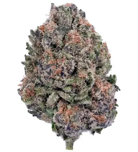 Cannabis glossary illustration with key terms.