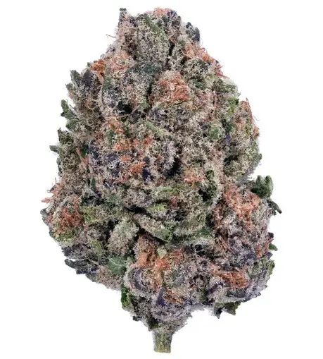 Cannabis glossary illustration with key terms.