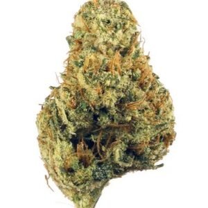 Variety of cannabis flower types arranged in containers.