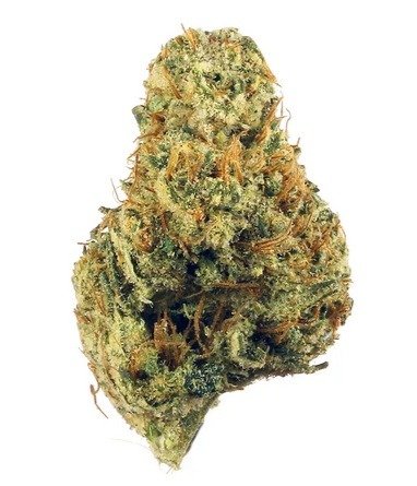 Variety of cannabis flower types arranged in containers.