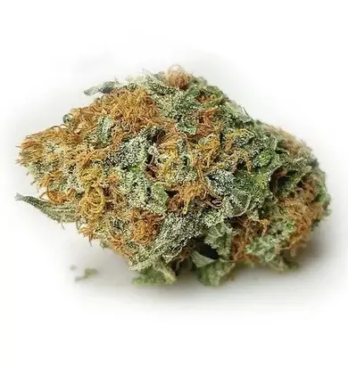 Bright green cannabis buds in a glass container.