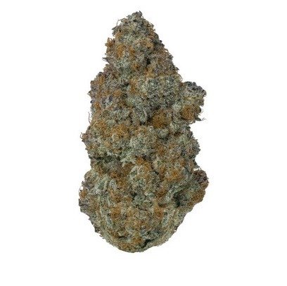 Earthy cannabis flower close-up with natural background.