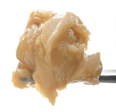 Premium cannabis live rosin extract