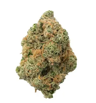 Macro image of trichomes on a cannabis bud.