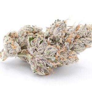 Glass jars used during the cannabis curing process.