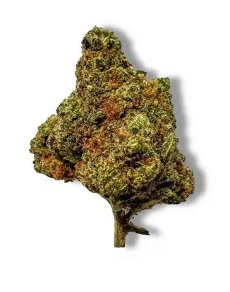 Glass storage jars filled with cannabis flower.