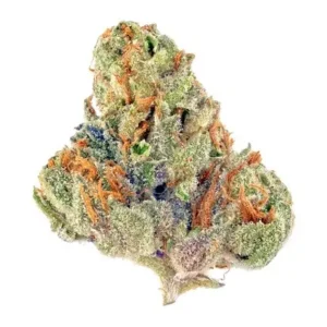 Beginner cannabis glossary graphic.