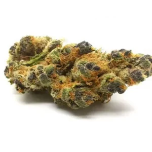 Indoor-grown cannabis flower under controlled lighting.